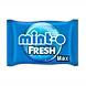 Mint O Fresh Max-SKU-MINTO04-sm
