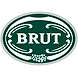 HUL BRUT INSTINCT DEODORANT-SKU-931-200ml-sm