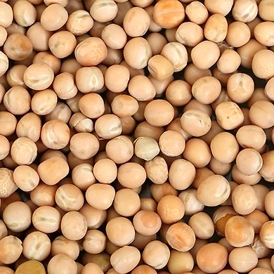 MATAR SAFED-SKU-L21-1Kg