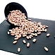 RAJMA CHITRA-SKU-L28-1Kg-sm