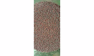 Sorisha (Mustard Seeds) - 1 Kg
