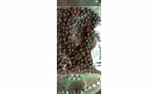 Gol Maricha (Kali Mirch / Black Pepper) - 1 Kg