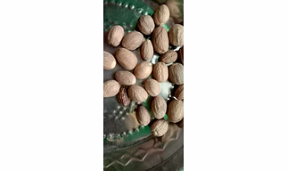 Bada Elachi - 1 Kg