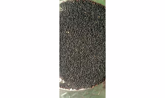 Kala Jeera - 1 Kg