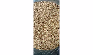 Methi - 1 Kg