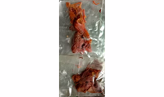 Anasi Phool (Palash Flower, Chakra Phool) - 1 Kg