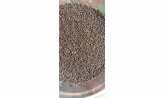 Muga Dal (Green Gram) - 1 Kg