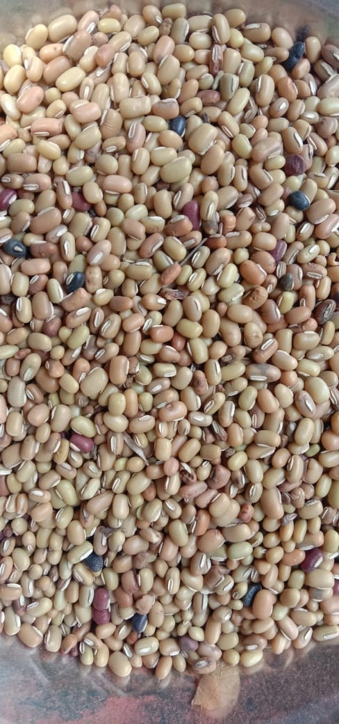 Jhundaga Dal / Cow Pea (Black-eyed Peas) - 1 Kg-SIN039-JDAL