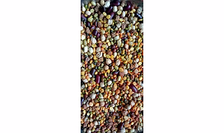 Tadka Dal - 1 Kg