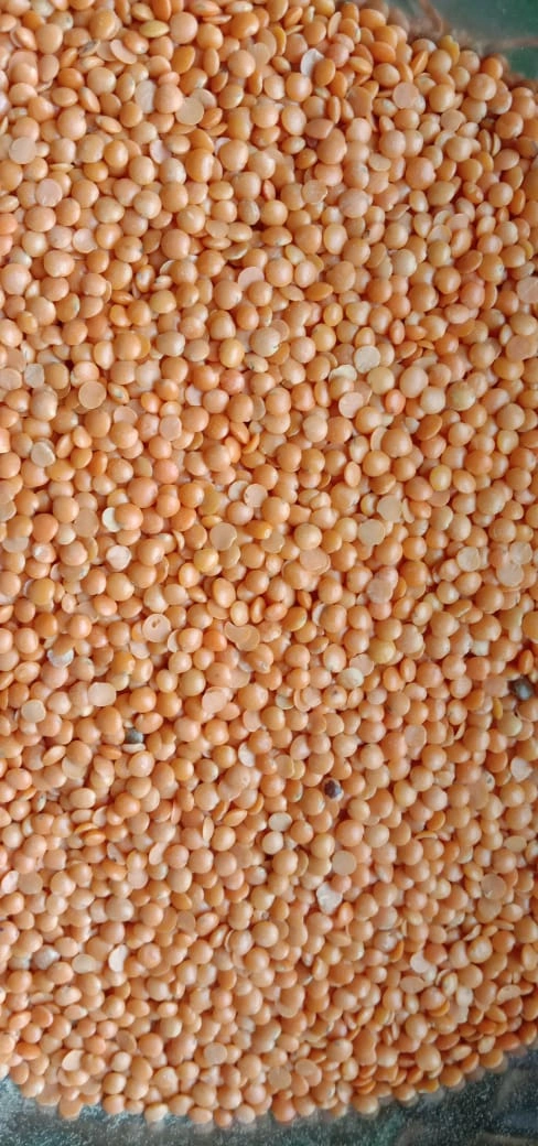 Masuri Dal - 1 Kg-SIN043-MD