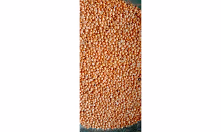 Masuri Dal - 1 Kg