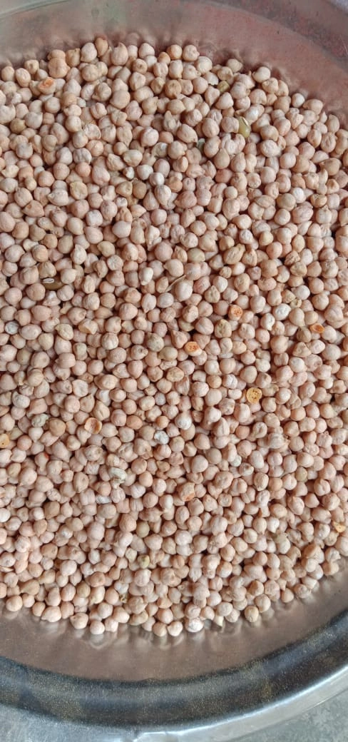 Tiasi Dal / Kabuli Chana (Chickpeas) - 1 Kg-SIN044-TD