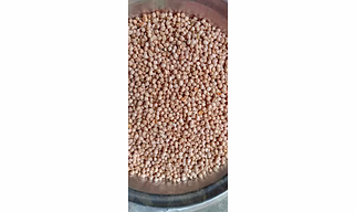 Tiasi Dal / Kabuli Chana (Chickpeas) - 1 Kg
