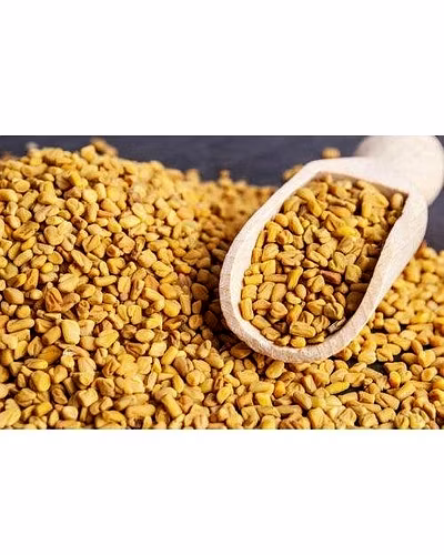 LNG Methi Dana 100gm-348