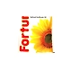 Fortune Sunflower Oil 1Ltr Pouch-2-sm