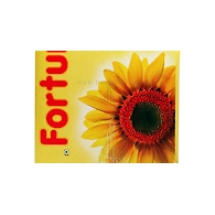 Fortune Sunflower Oil 15Ltr Jar