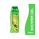 Fiama Shower Gel-ASD-G1133-sm