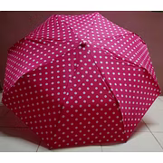 Janet 3 Fold Umbrella
