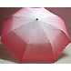 Kareena 3 Fold Umbrella-ASD-G1409-sm