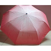 Kareena 3 Fold Umbrella