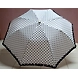 Madhuri 2 Fold Umbrella-ASD-G1419-sm