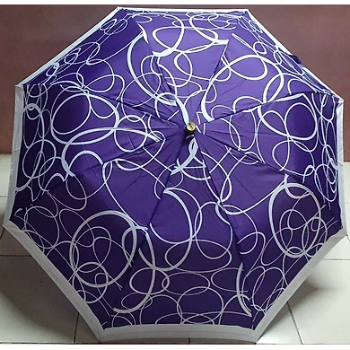 Shefali 2 Fold Umbrella-ASD-G1420