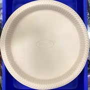 Biodegradable Microwavable Plates 12"
