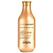 Loreal Paris Professionnel Absolute Repair Lipidium Shampoo 300ml-ASD-G1717-sm