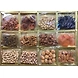 Dryfruit Box 12 Part Big-ASD-G1848-sm
