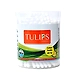 Tulips Cotton Swabs 100N-tulipscottonswabs100nabcd-sm