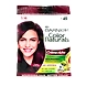 Garnier Creme Riche Burgundy Color 30g-cremericheburgundy30g-sm