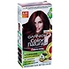 Garnier Intense Red 6.60 Color 60g-intenseredgarnier60g-sm