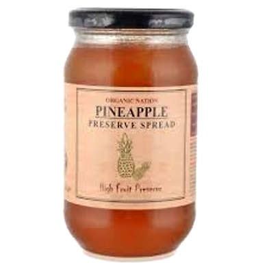 Organic Nation Pineapple Spread 450g-organicnationpineappread450g