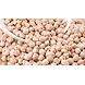 Kabuli Chana 1Kg-Kabuli1KG-sm