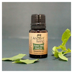 Ancient Living Basil Essential Oil
