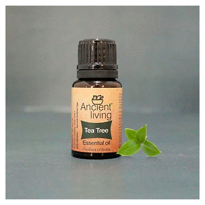 Ancient Living Tea Tree Essential Oil