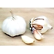 tella ulligadda/vellulli (garlic)-SBV002-sm