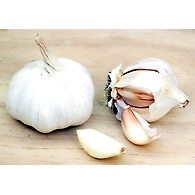 tella ulligadda/vellulli (garlic)