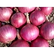 ulligadda (onions)-SBV003-sm