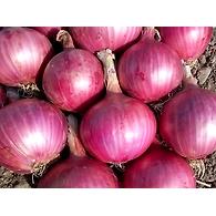 ulligadda (onions)