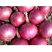 ulligadda (onions)