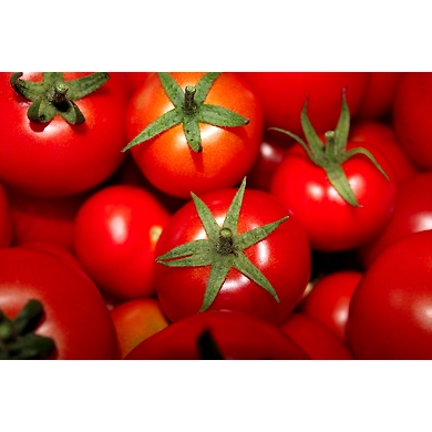 tomato desi (Tomato)-SBV006