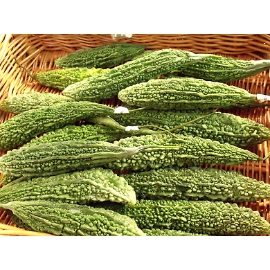 Kakarkaya (Bitter gourd)-SBV009