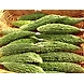 Kakarkaya (Bitter gourd)-SBV009-sm