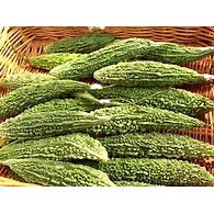 Kakarkaya (Bitter gourd)