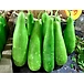 Anapakaya/Sorakaya (Bottle gourd)