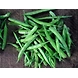 Goru chikkudu (Cluster beans)-SBV015-sm