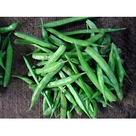 Goru chikkudu (Cluster beans)