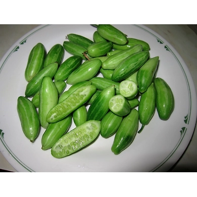 Dondakaya (Tindoora/Gherkins)-SBV016