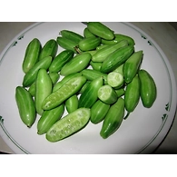 Dondakaya (Tindoora/Gherkins)